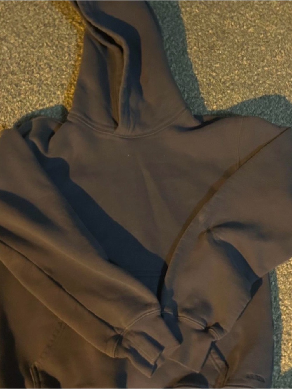Aritzia Sweatfleece Cozy Fleece Hoodie in grey/blue